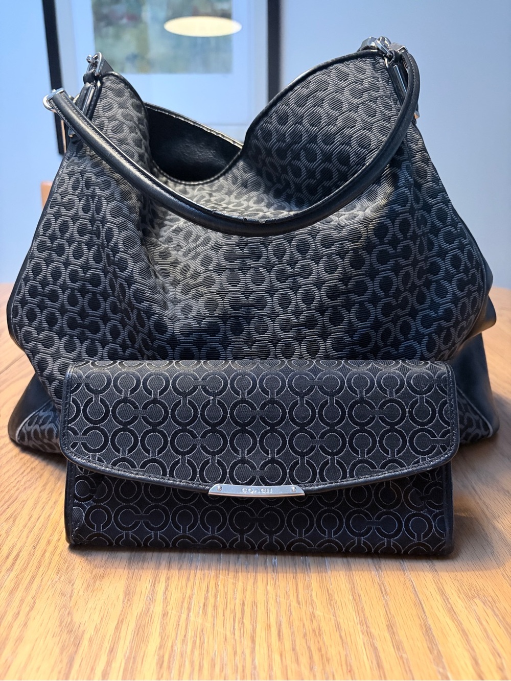 COACH Madison Op Art Needlepoint Phoebe Hobo + Matching Slim Envelope Wallet